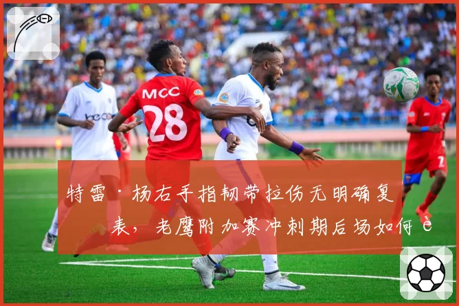 特雷·杨右手指韧带拉伤无明确复出表，老鹰附加赛冲刺期后场如何自救？