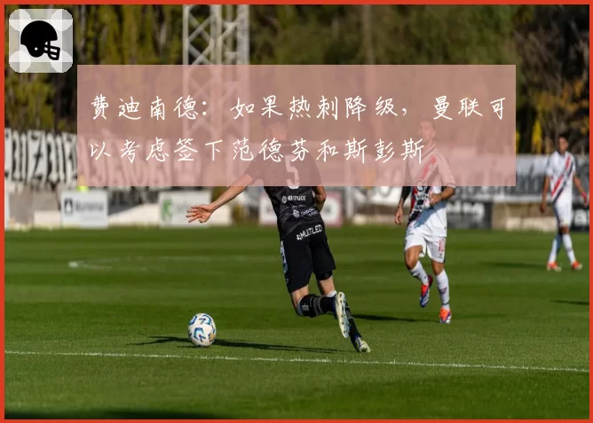 费迪南德：如果热刺降级，曼联可以考虑签下范德芬和斯彭斯