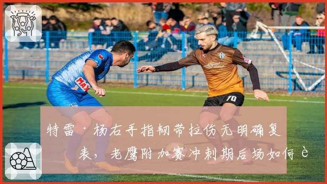 特雷·杨右手指韧带拉伤无明确复出表，老鹰附加赛冲刺期后场如何自救？